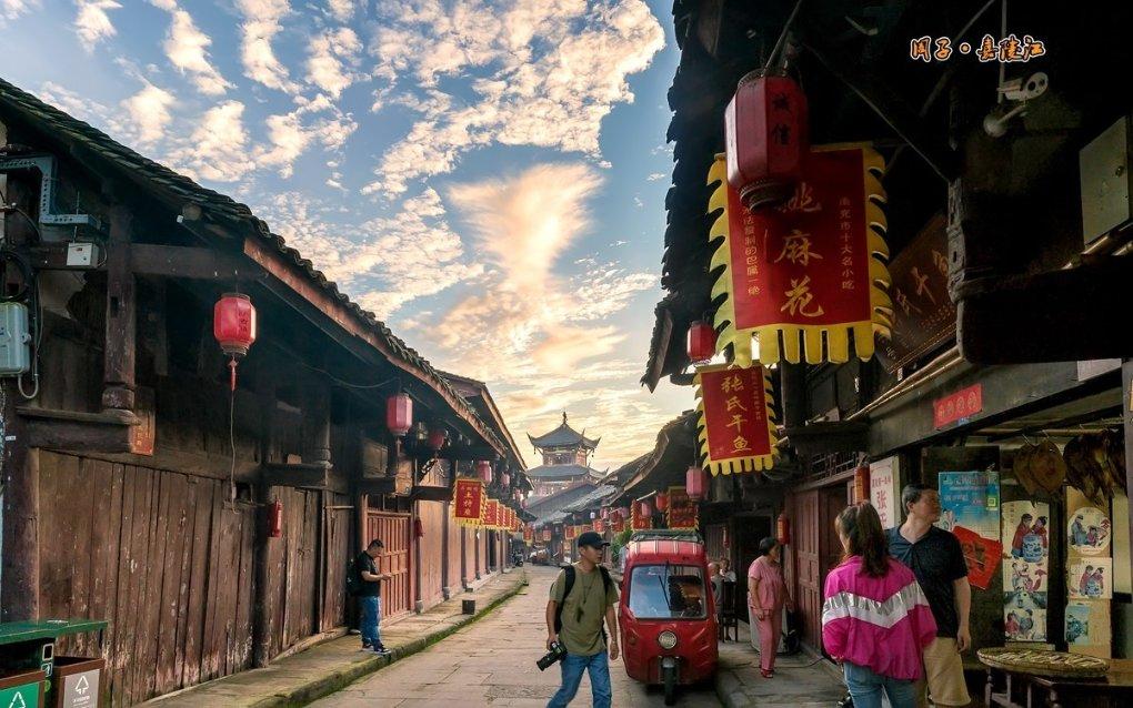 把盐碱地变成米粮川（自然之子）